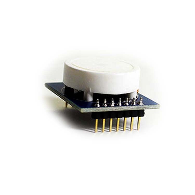 DS-HCHO (4)